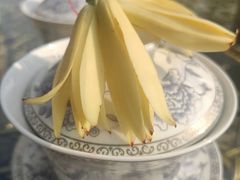 -龙潭水乡