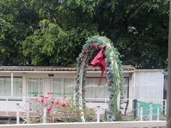 -芭厘农庄老字号·清远鸡