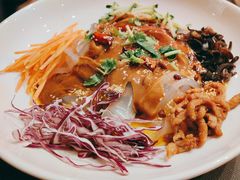 东北大拉皮-大鸭梨(天通西苑店)