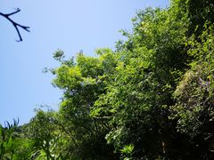 -抱龙峪