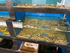 -华盛丰温州大排档(东三环南路店)