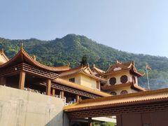 -深圳仙湖植物园