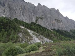 -稻城亚丁景区-冲古草甸