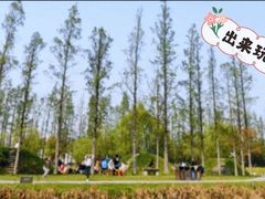 -前小桔亲子创意农场·草莓采摘·露营烧烤