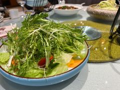 凉拌苦菊-天福苑(崇宁路店)