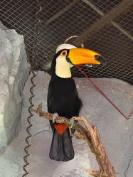 -Zoolung Zoolung动物主题公园(海信广场店)