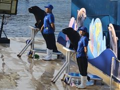 -秦皇岛乐岛海洋王国