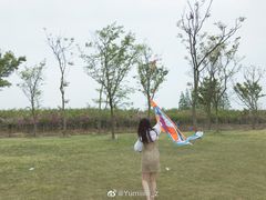 -上海海湾国家森林公园