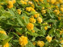 -潇湘·永州会馆(百子湾店)