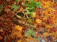 -麻六记(凤凰汇店)