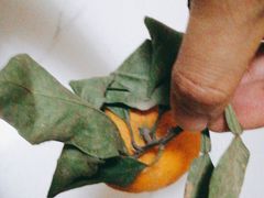 -乐乐鲜果水果超市(河北店)