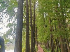 -东湖落雁景区