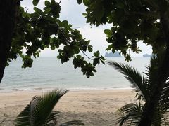 -Scarborough Fish & Chips- Tanjung Rhu