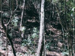 -鄣山大峡谷