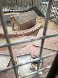 -萌宠亲子动物乐园(槐房万达店)