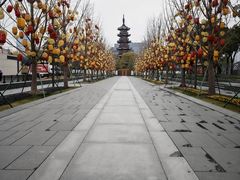 -龙华寺