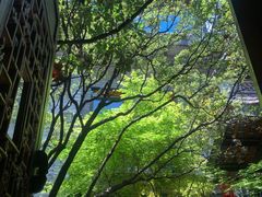 -鱼桥巷·美学川菜