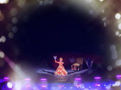 -广州长隆国际大马戏