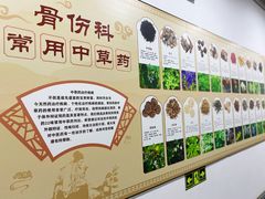 -大通中医馆