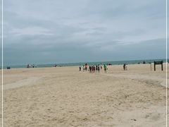 -东海岛旅游度假区