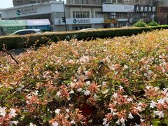-极乐汇汗蒸会馆(杭州店)
