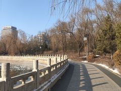 -迎泽公园