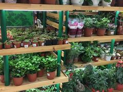 -大润发(何山店)
