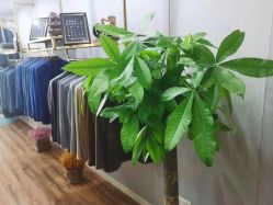 -kadlon轻奢服装定制(金赢108创意广场银座店)