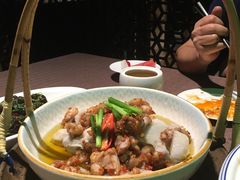 沸腾岩蛙-樽宴酒楼·地道川菜·品质宴请