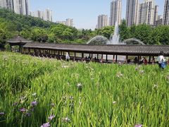 -龙头寺公园
