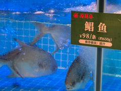 -锦园春香港茶餐厅(西海湾旗舰店)