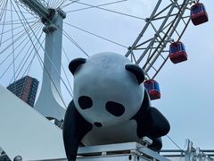 -天津之眼摩天轮
