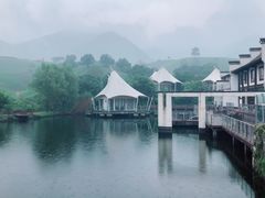 -帐篷客·溪龙茶谷度假酒店