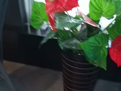 -1718海鲜姿造(苏宁宴请臻选店)