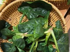 -巴奴毛肚火锅(龙湖锦艺城店)