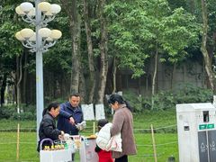 -重庆市江北嘴中央商务区中央公园