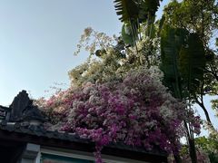 -深圳国际园林花卉博览园