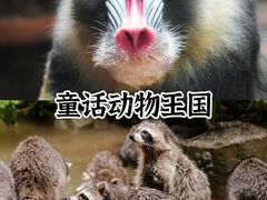 -长鹿旅游休博园