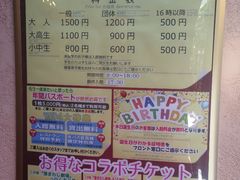 -河口湖八音盒之森美术馆