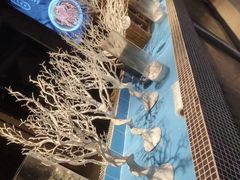 -观澜湖酒店·邀月庭中餐厅