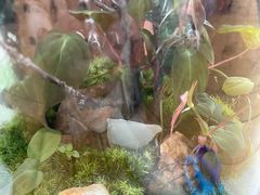 -北马山庄植趣咖啡