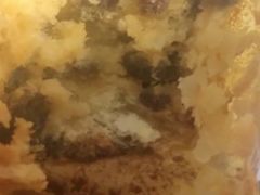 奶香葡萄酥-百年义利(百万庄店)