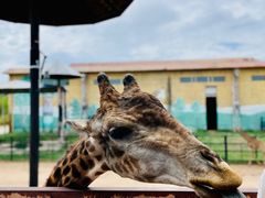 -鄂尔多斯野生动物园