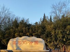 -莲花池公园