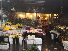 -曲阳花鸟市场(曲阳路店)
