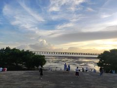 -宝安西湾红树林湿地公园