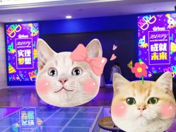 -DoDo梦想城(泉舜购物中心店)