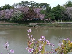 -怡海公园(桂城街道)