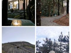 -玉苍山国家森林公园