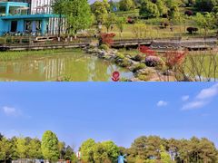 -铁山坪森林公园
